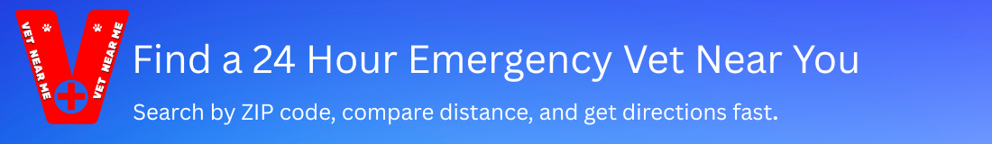 Find a 24 Hour Emergency Vet Near You